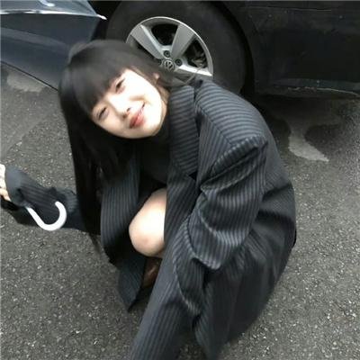燕子盗
