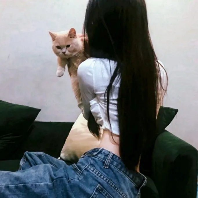 超级翁婿